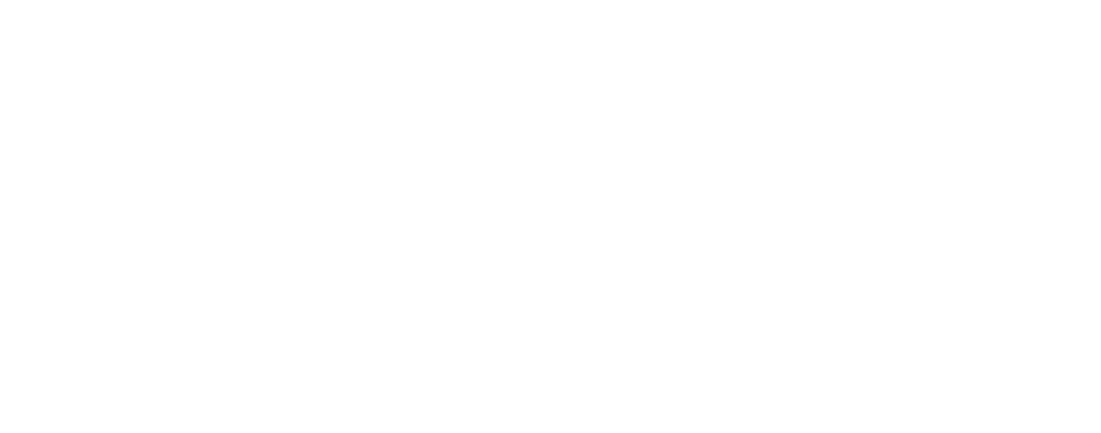 Logotyp - First Partner